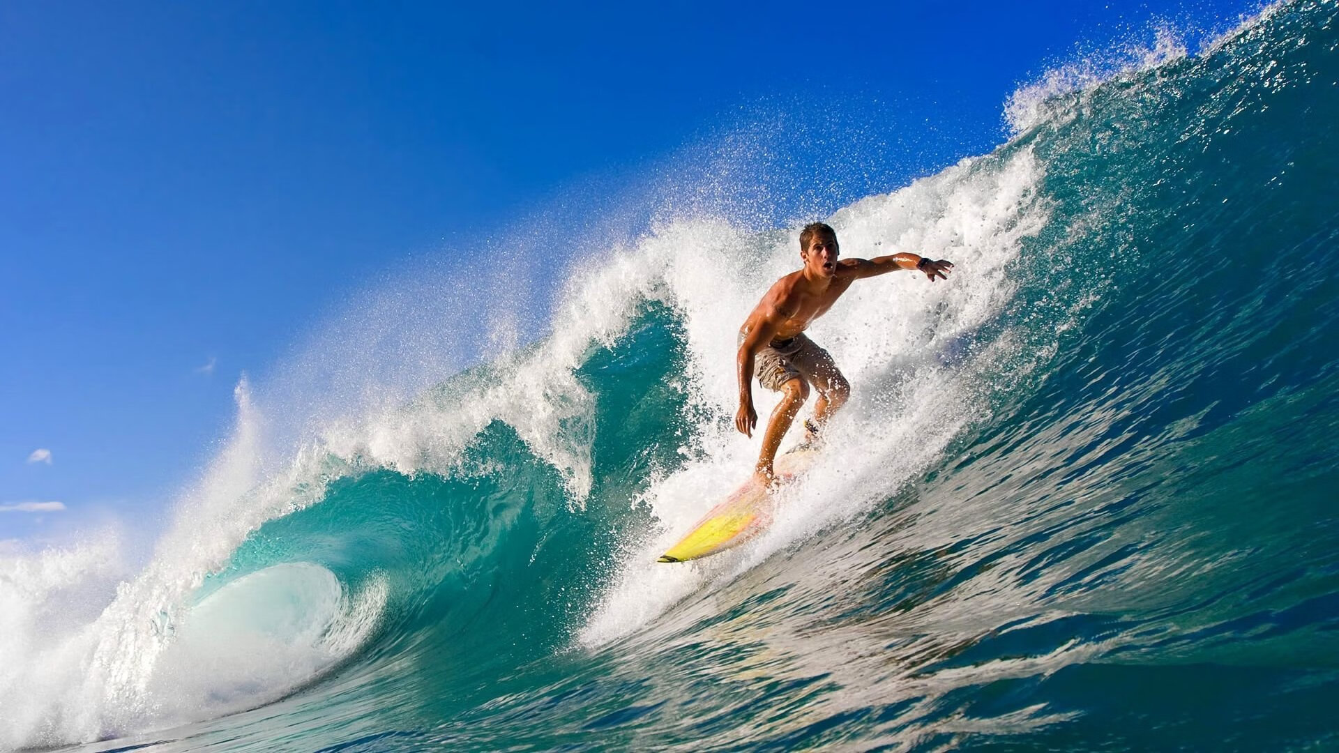 国际一流篮球培训课程引入中国，培养高端青训人才，国内篮球培训机构